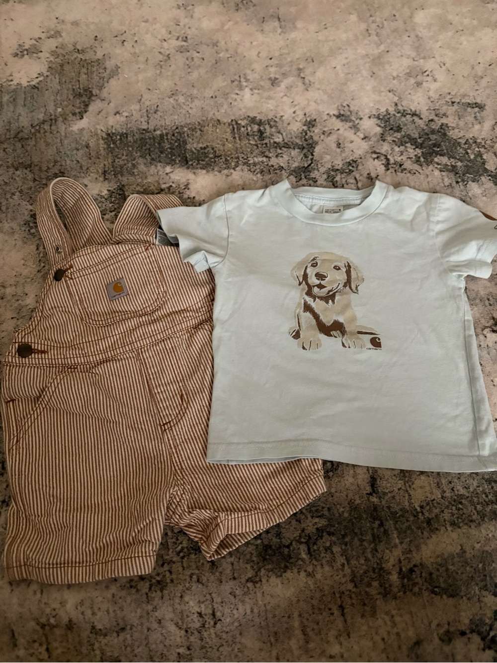 Carhartt Light Blue Puppy Graphic Short Sleeve Tee